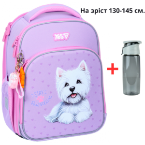 Рюкзак YES S-78M шкільний каркасний Stay Pawesome 550226 + пляшка для води 550мл.